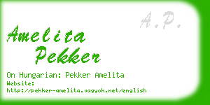 amelita pekker business card